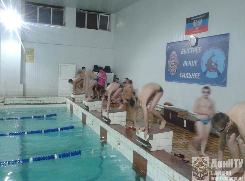 Чемпионат по плаванию